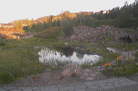 little lake and little waterfalls, botanic garden, Tromsø